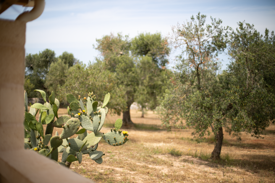 Casa Vacanze Ostuni